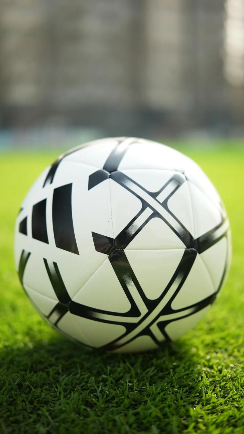 下载竞彩足球预测应用步骤